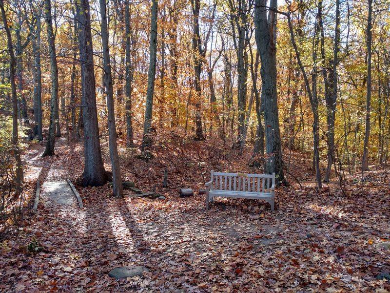 High Rock Park