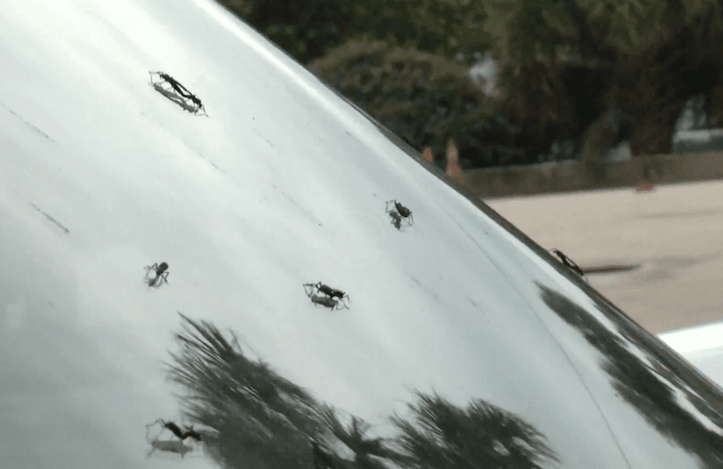 Highways And Hot Cars Pull Them Close