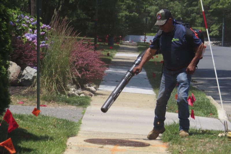 Hire A Crew With Gas Blowers, And You Could Both Be Fined