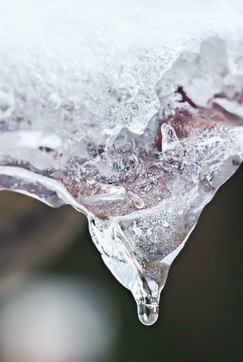 Hold Moisture Through Freeze And Thaw Cycles