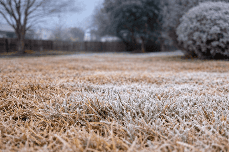 Hold Off On Heavy Nitrogen Until Spring Returns Hold Off On Heavy Nitrogen Until Spring Returns