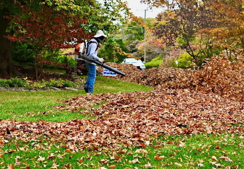 Homeowners And Landscapers Are Both Covered