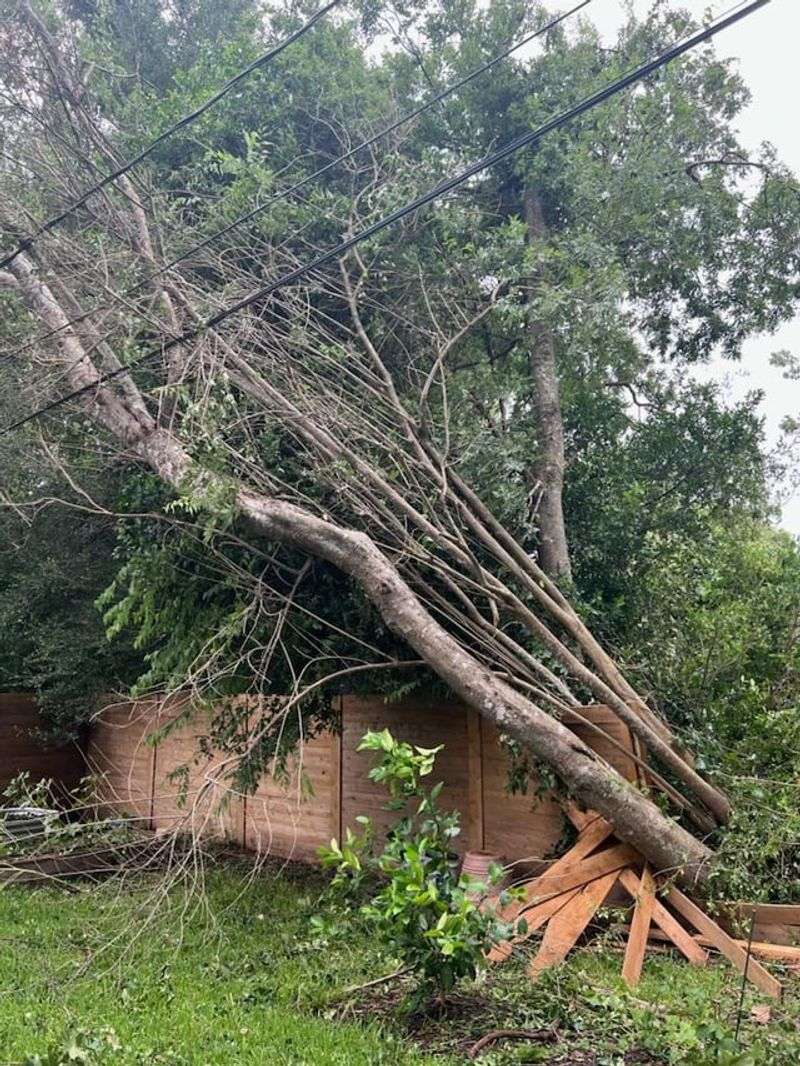 Homeowners Insurance May Or May Not Cover It Homeowners Insurance May Or May Not Cover It