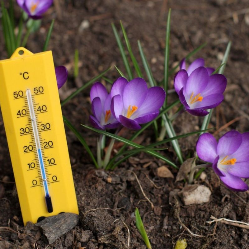 How Deep Michigan Soil Stays Warmer Than The Air