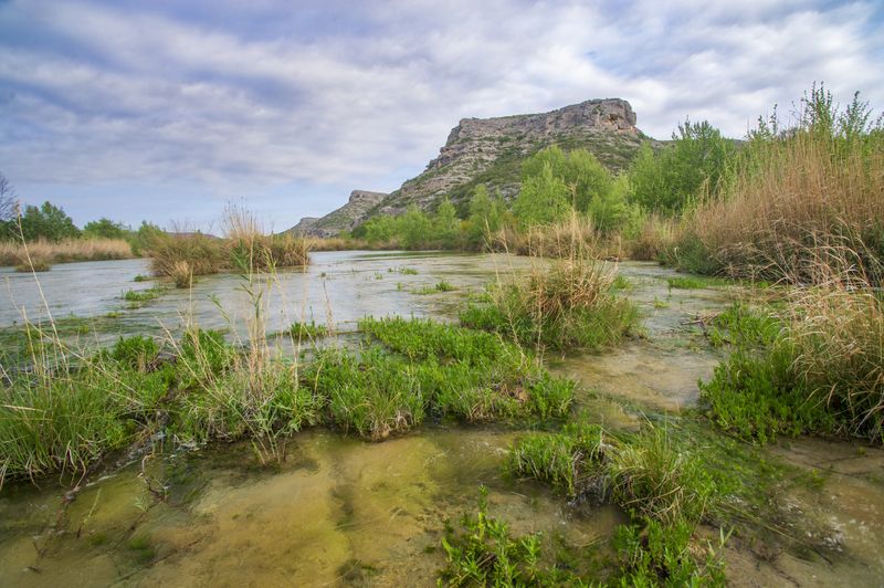 How It Spreads Along Waterways How It Spreads Along Waterways