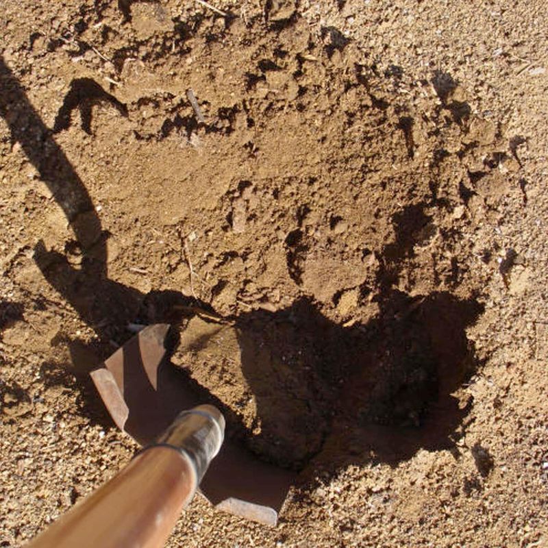 How You Dig the Hole Matters More Than You Think How You Dig the Hole Matters More Than You Think