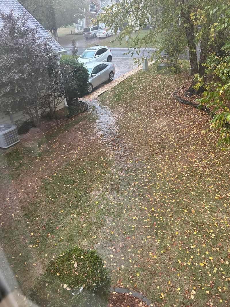 How Your Yard Helps Rivers Like The Bronx How Your Yard Helps Rivers Like The Bronx