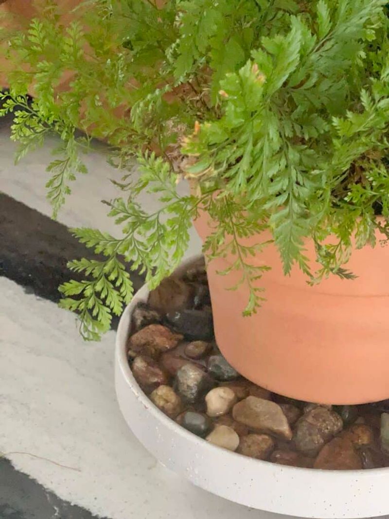 Humidity Tricks North Carolina Growers Use Indoors Humidity Tricks North Carolina Growers Use Indoors
