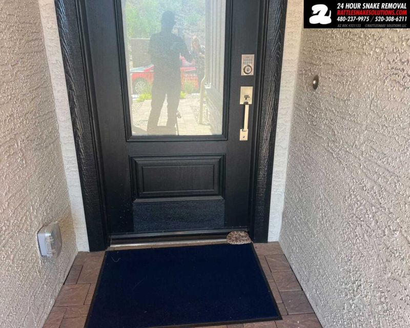 If the snake blocks the back door If the snake blocks the back door