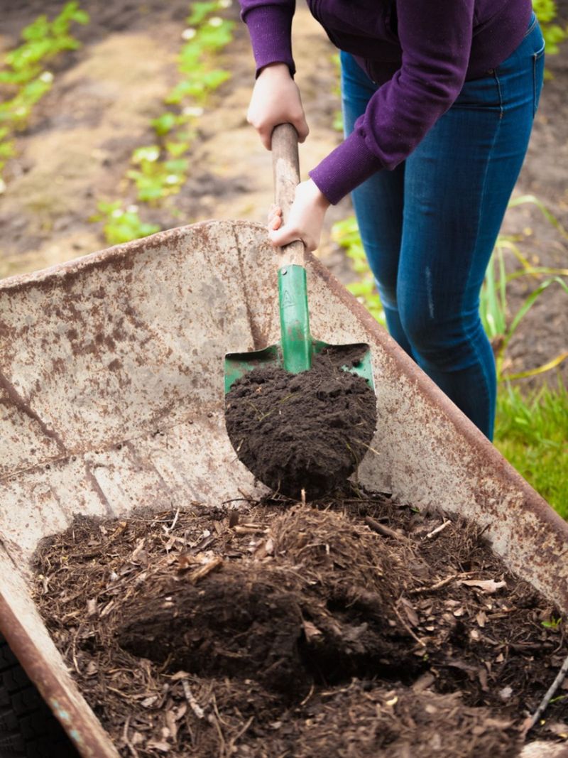 Improves Heavy Clay And Rocky Ground