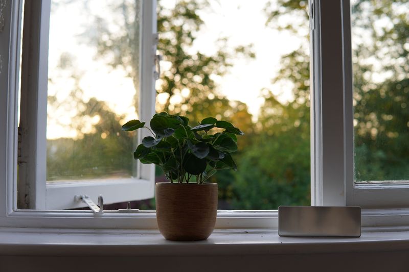 Indoor Light Takes Time To Adjust To Indoor Light Takes Time To Adjust To