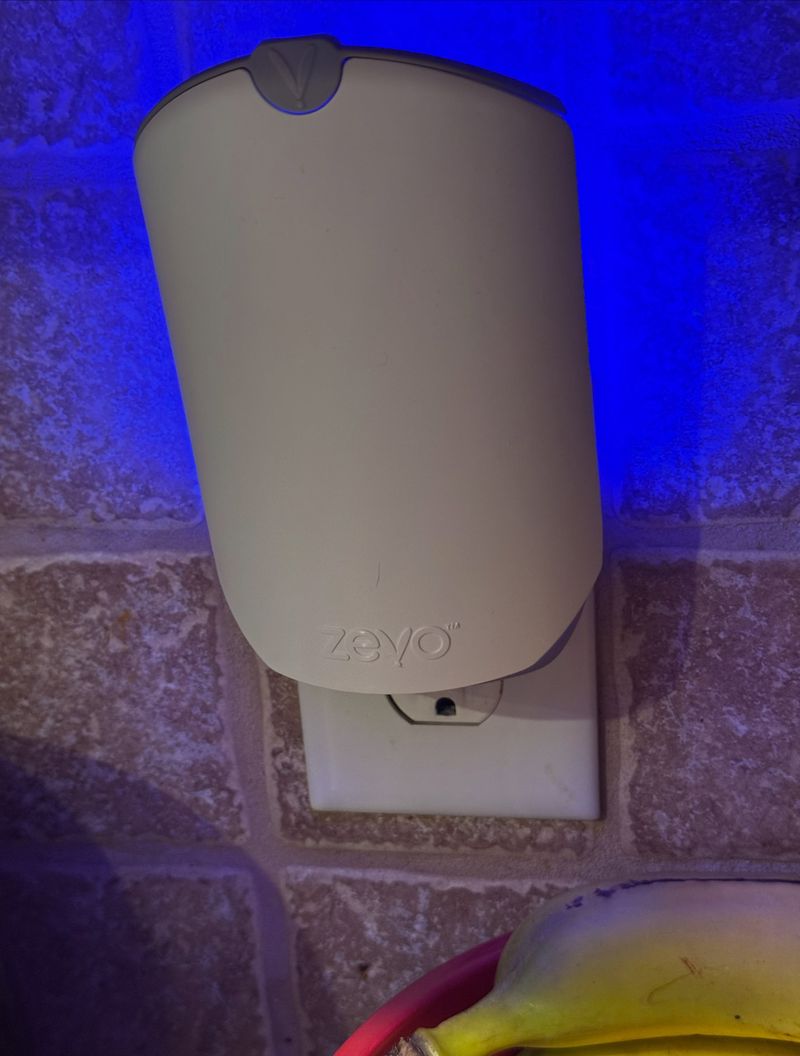Indoor Light Traps Catch Some Bugs Inside