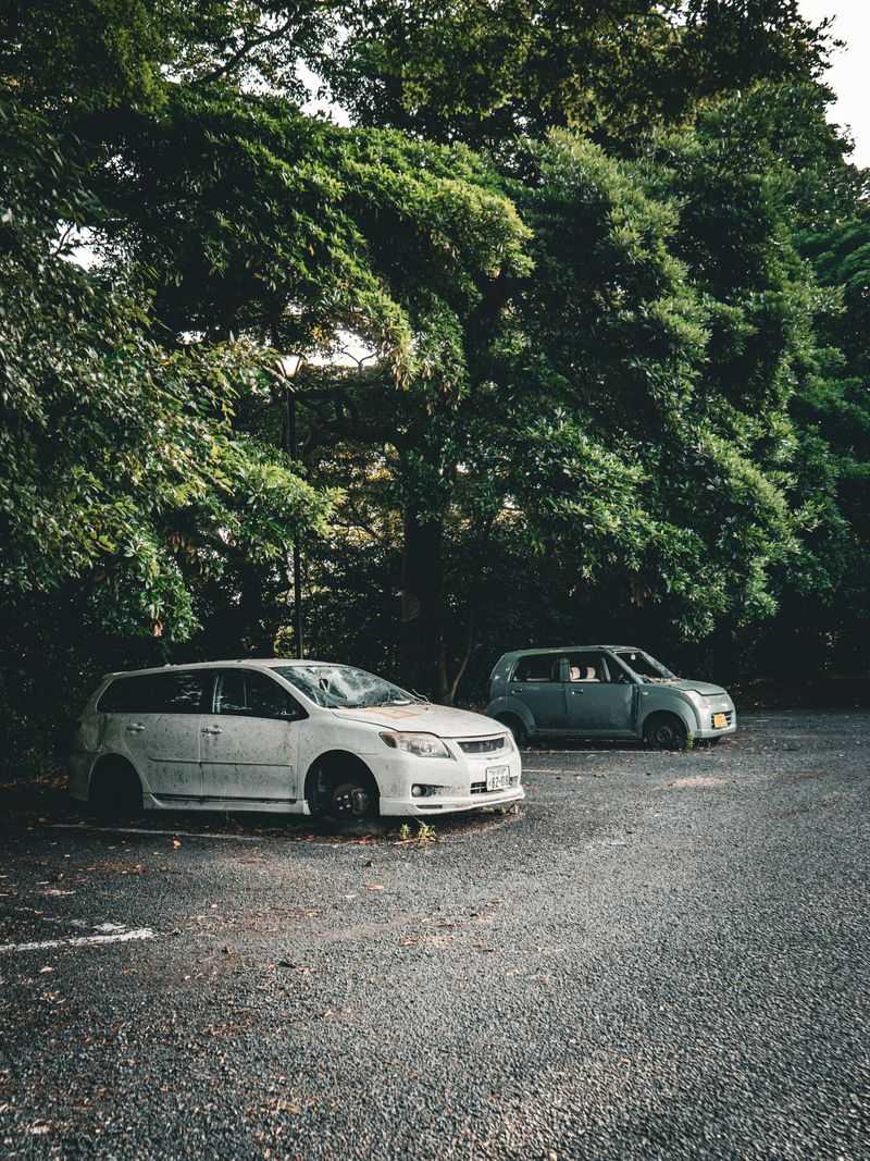 Inoperable Parked Cars Inoperable Parked Cars