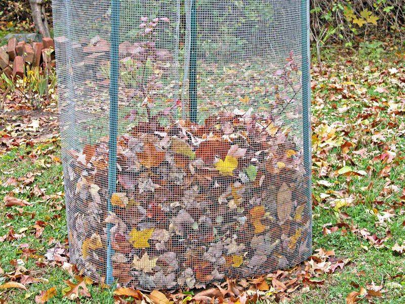 Insulate Plants For Winter Insulate Plants For Winter