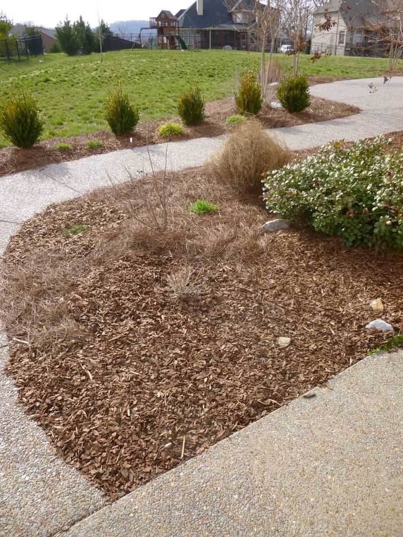 Interlocking Needles Help Hold Mulch On Gentle Slopes Interlocking Needles Help Hold Mulch On Gentle Slopes