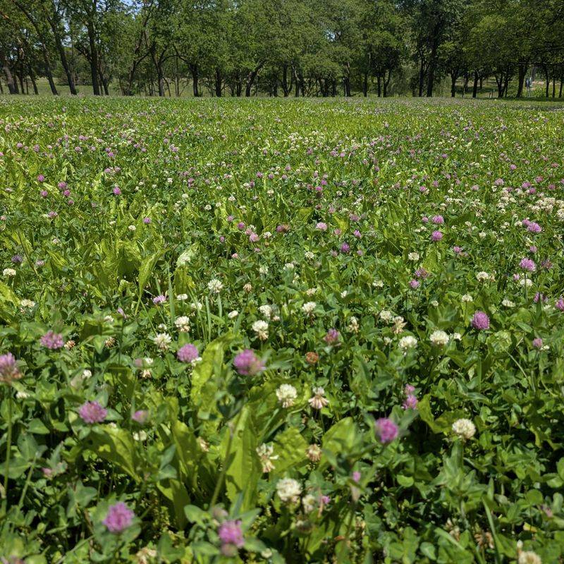 It Breaks Up Wildlife Habitat