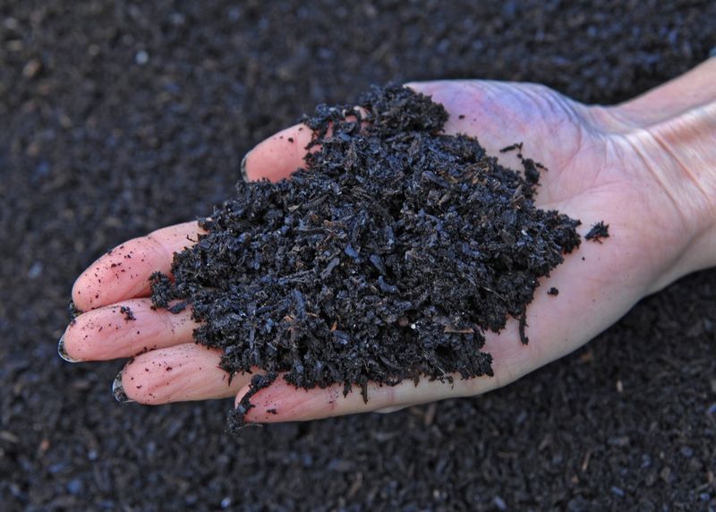 It Can Raise Soil pH Like A Mild Lime