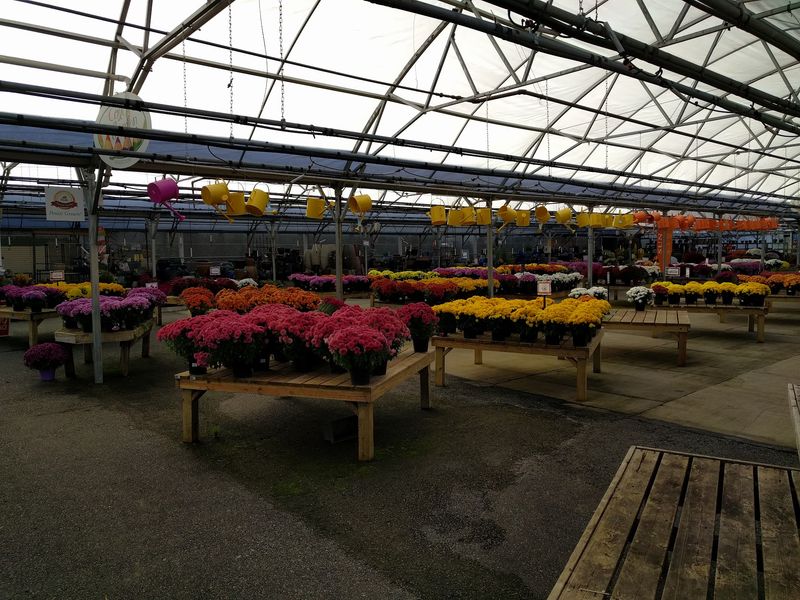 It Covers All Types, Sizes And Varieties Of Perennials It Covers All Types, Sizes And Varieties Of Perennials