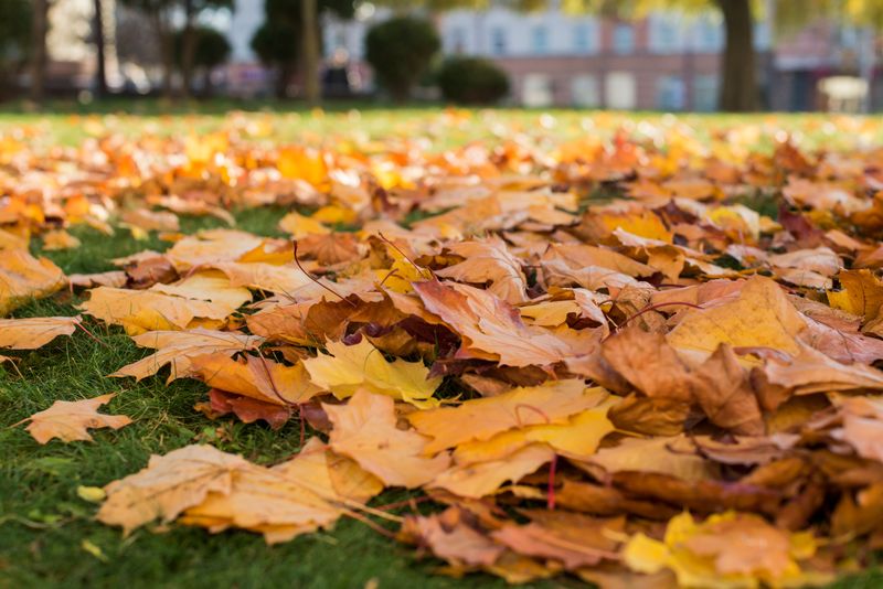 It Depends On What Your HOA’s Documents Say