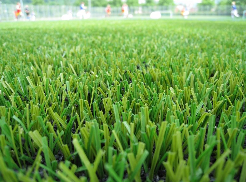 It Gets Much Hotter Than Grass