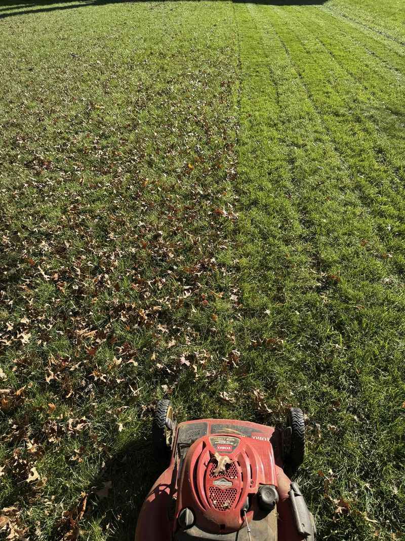 It May Help Reduce Some Weeds It May Help Reduce Some Weeds