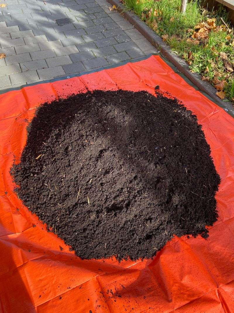 It Smells Earthy, Not Sour Or Ammonia Like
