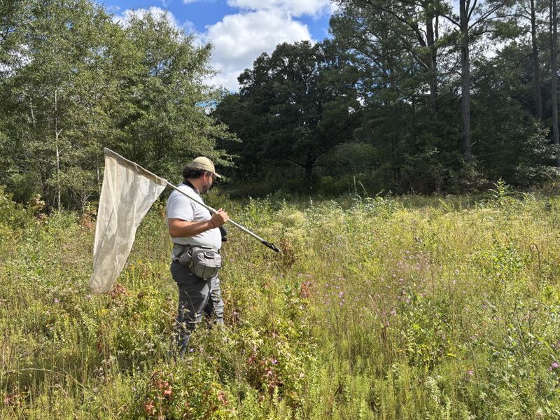 It Was Found On Private Land In Isle Of Wight County