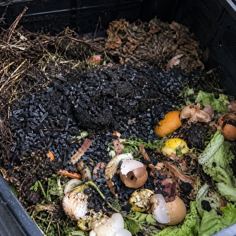 It Works Best When Charged With Compost First