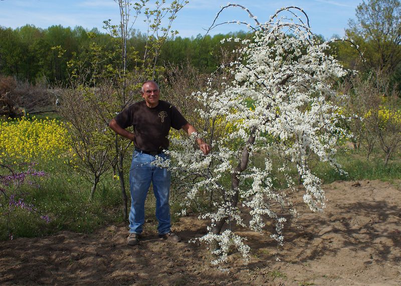 It’s A Wholesale Nursery With More Than 70 Years Of History