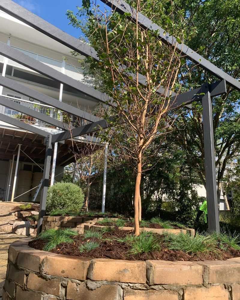 It's Easier To Plant Under And Maintain Around It's Easier To Plant Under And Maintain Around