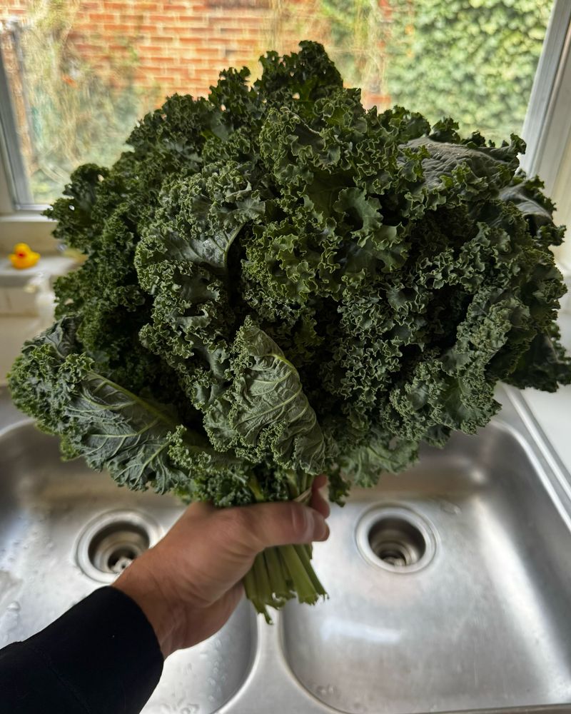 It's Packed With Nutrition
