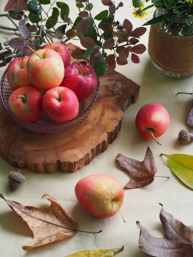 It's Sitting Near A Fruit Bowl It's Sitting Near A Fruit Bowl