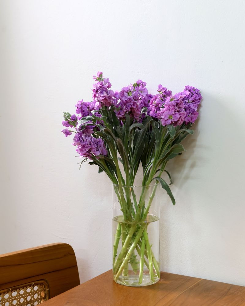 It's Worth Planting For Fragrance And Cut Flowers