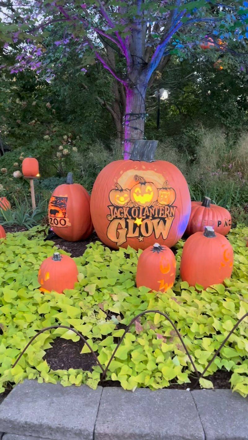 Jack O’Lantern Glow And HallZOOween At The Cincinnati Zoo And Botanical Garden Jack O’Lantern Glow And HallZOOween At The Cincinnati Zoo And Botanical Garden