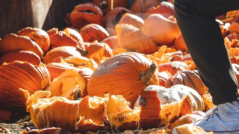 Join A Pumpkin Smash Event Join A Pumpkin Smash Event