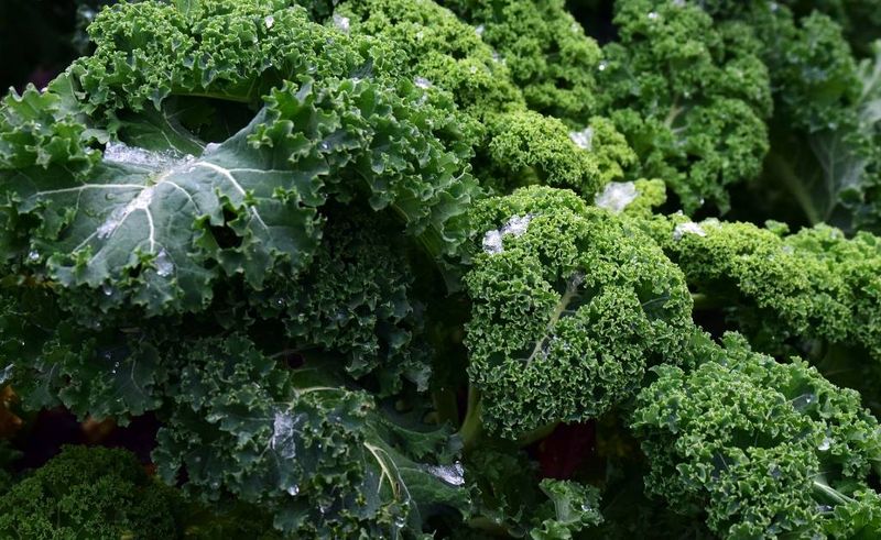 Kale, Collards, And Spinach Just Got Sweeter