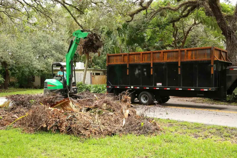 Keep Brush And Wood Piles Away From The House Keep Brush And Wood Piles Away From The House