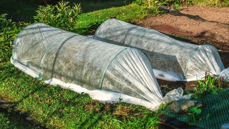 Keep Covers Off Delicate Blooms