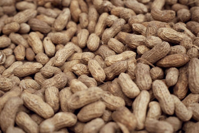 Keep Curing Peanuts Away From Muggy Heat And Damp Air
