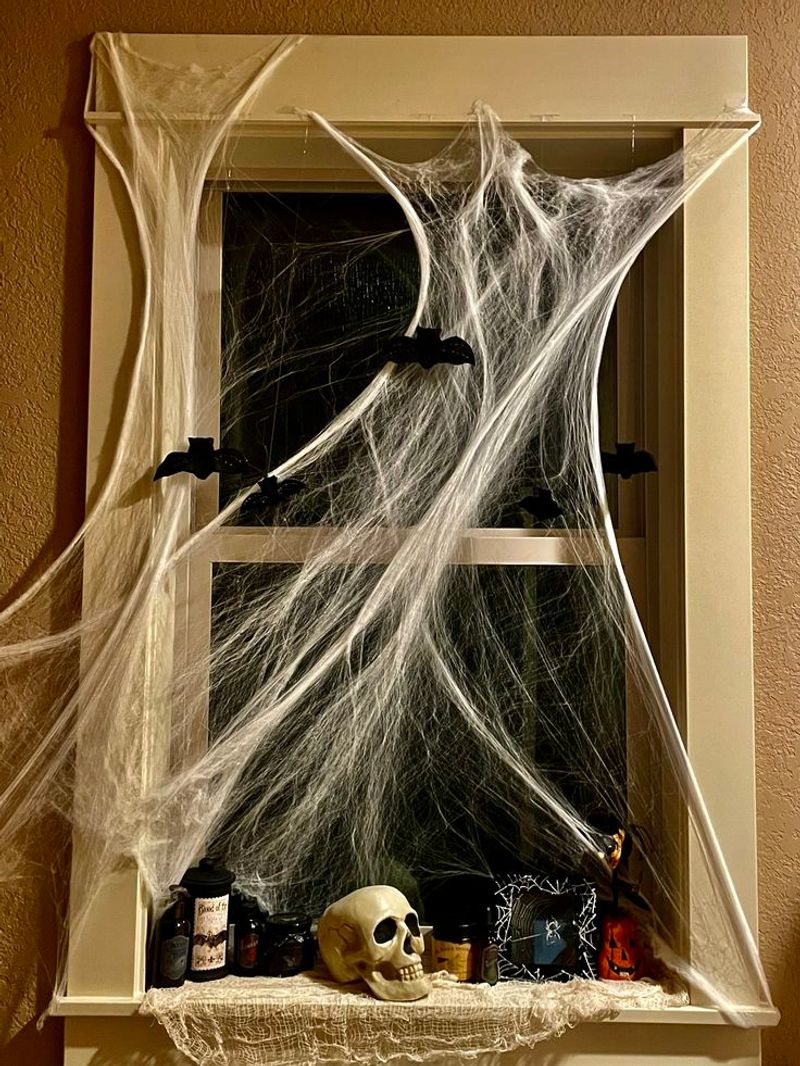 Keep Fake Webs Indoors Or Behind Glass Keep Fake Webs Indoors Or Behind Glass