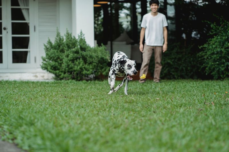 Keep Grass Mowed Where Kids And Pets Play Keep Grass Mowed Where Kids And Pets Play
