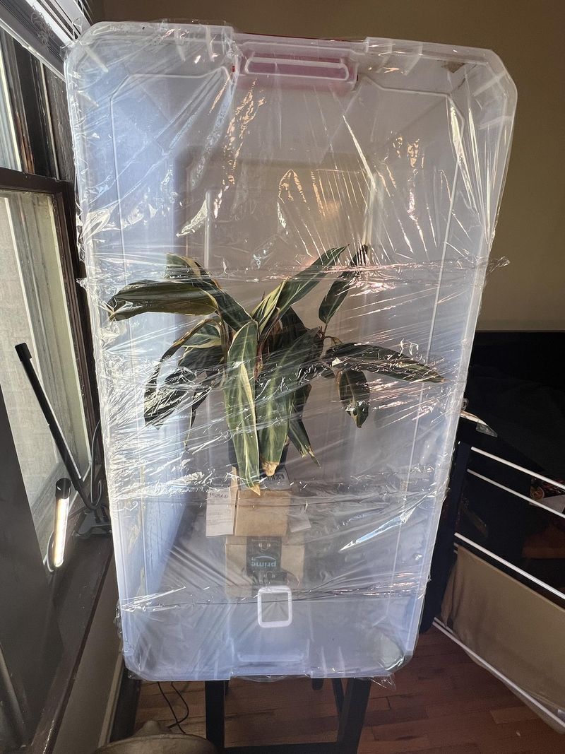 Keep Incoming Plants In A Separate Room
