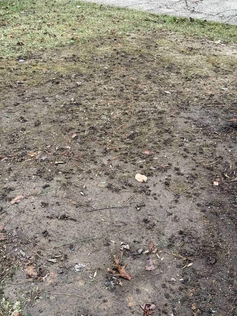 Keep Infested Soil Put And Report What You Find Keep Infested Soil Put And Report What You Find