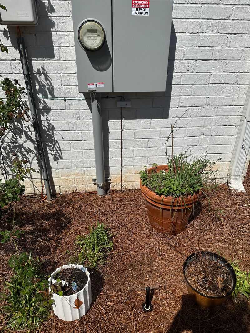 Keep Irrigation At Least A Foot From The Walls Keep Irrigation At Least A Foot From The Walls