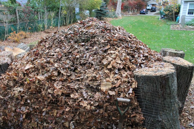 Keep Leaves Out Of The Street And The Trash