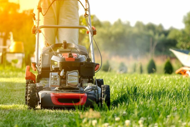 Keep Mowing Until The Grass Takes A Break Keep Mowing Until The Grass Takes A Break