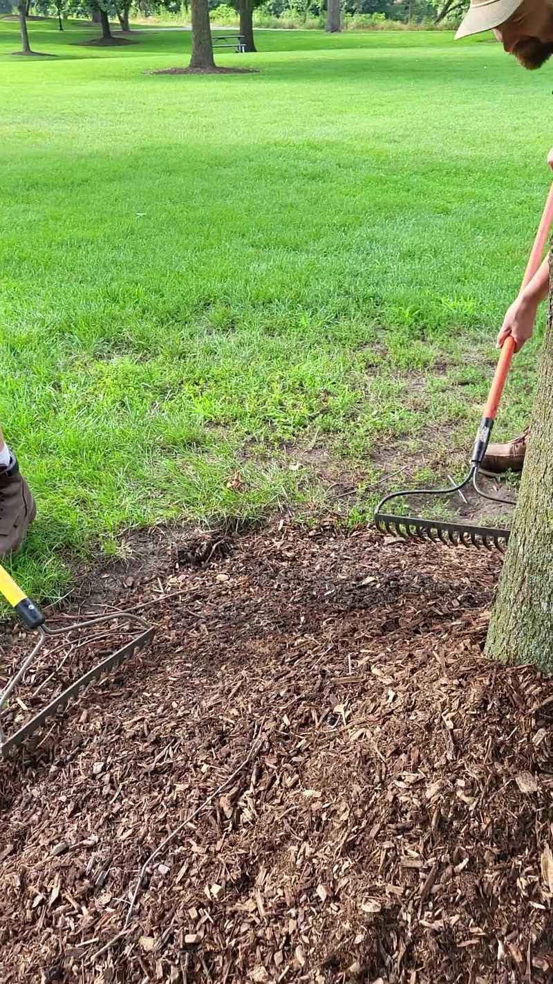 Keep Mulch Away From Stems And Trunks Keep Mulch Away From Stems And Trunks
