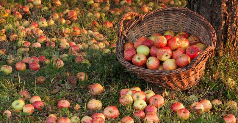 Keep Notes On This Year's Harvest