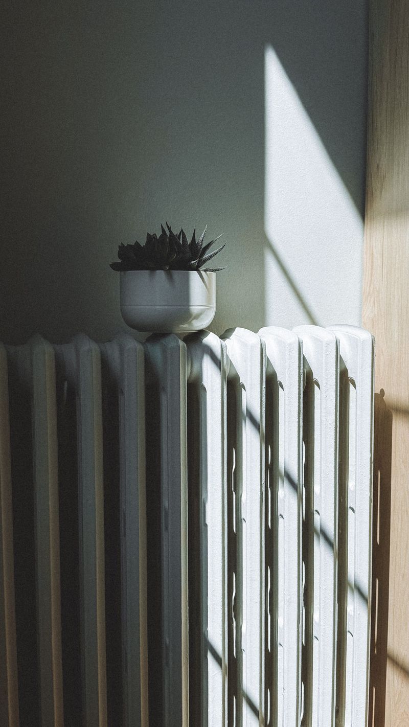 Keep Plants Away From Heat Registers Keep Plants Away From Heat Registers