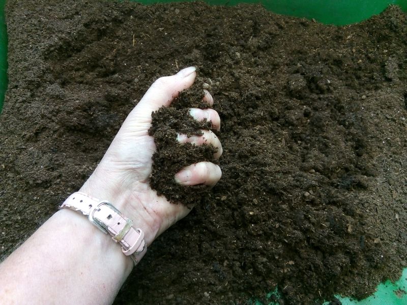 Keep Your Pile As Damp As A Wrung Sponge